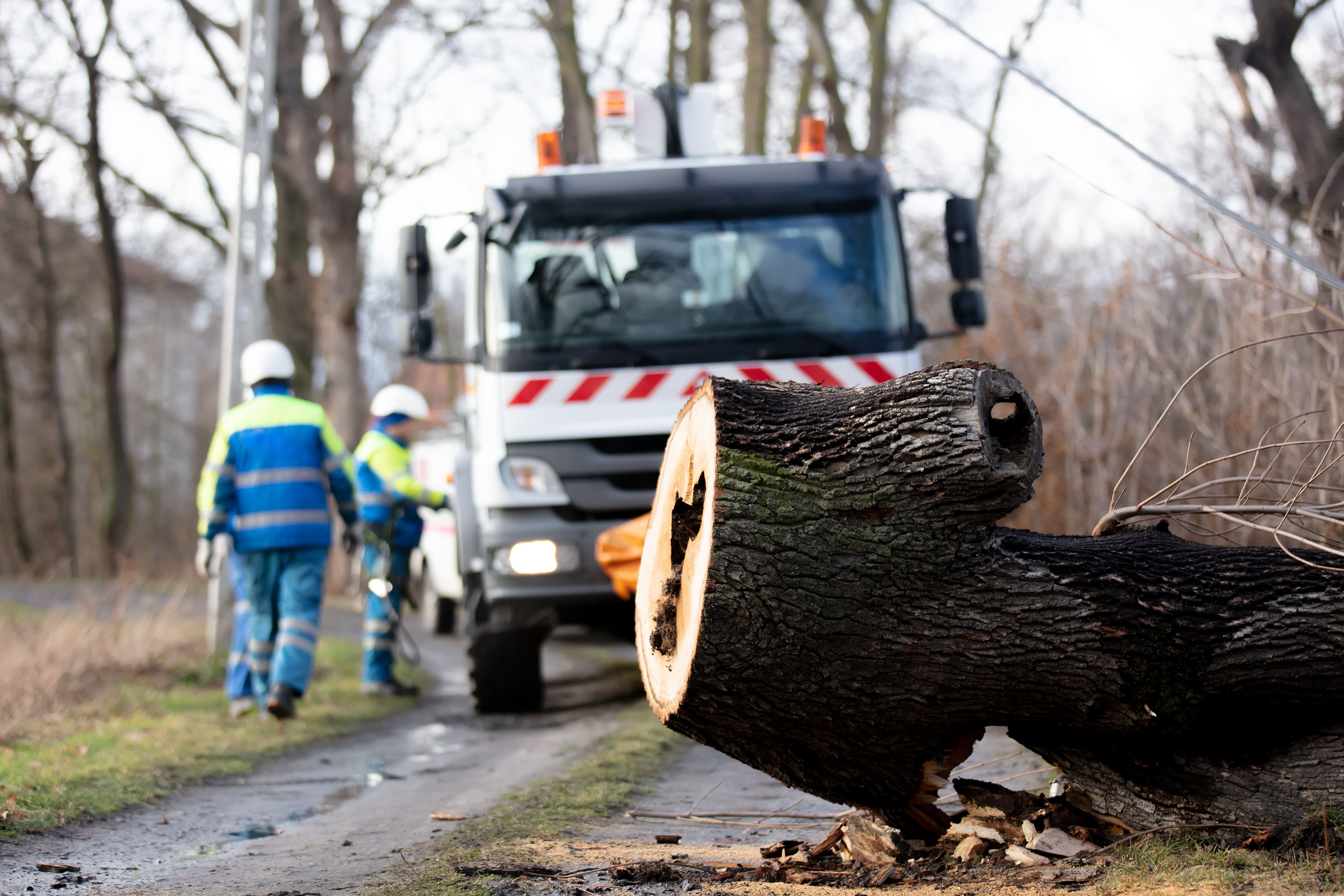 Disaster Recovery